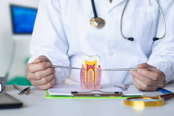 Best Emergency Treatment for Dental Infections or Abscesses in Hybla Lley, VA